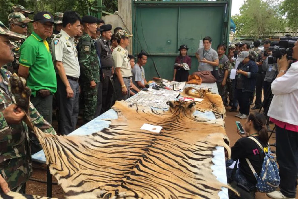 เส้นทางค้าสัตว์ป่า เครือข่ายอาชญากรรมข้ามชาติ