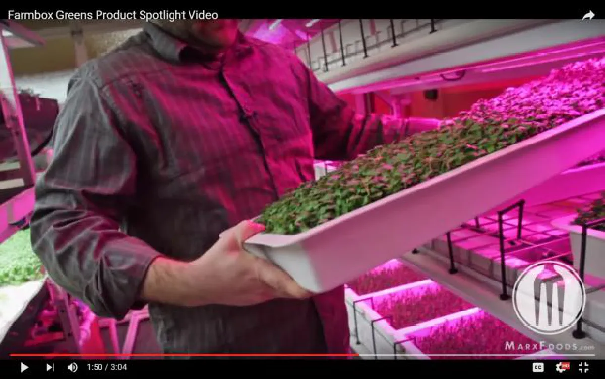 Vertical farms: Start a farm in your bedroom