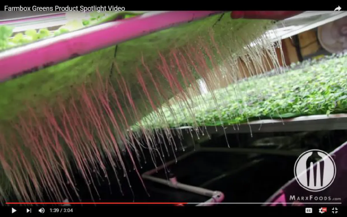 Vertical farms: Start a farm in your bedroom