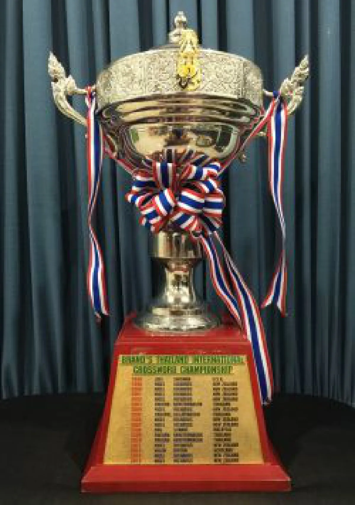 Thais master Scrabble without English