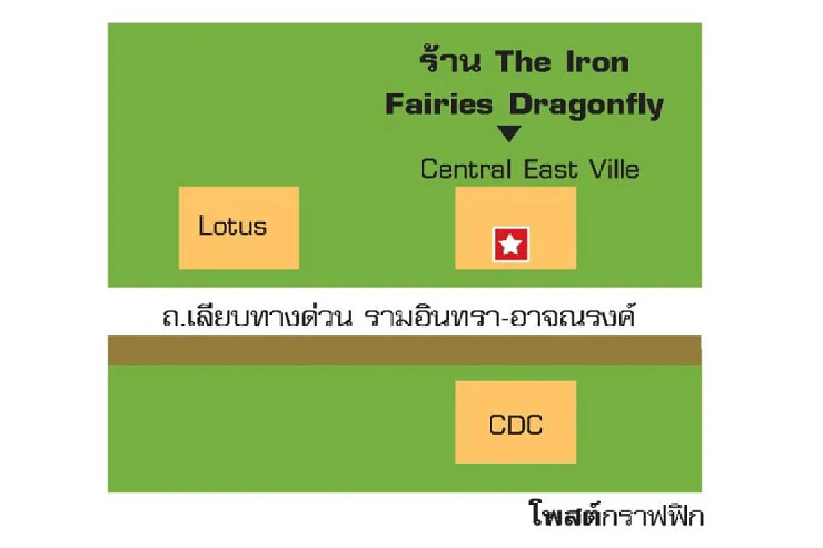ต้องมนต์ห้องลับ ดิ ไอร์เอิน แฟรีส์ ดรากอนฟลาย