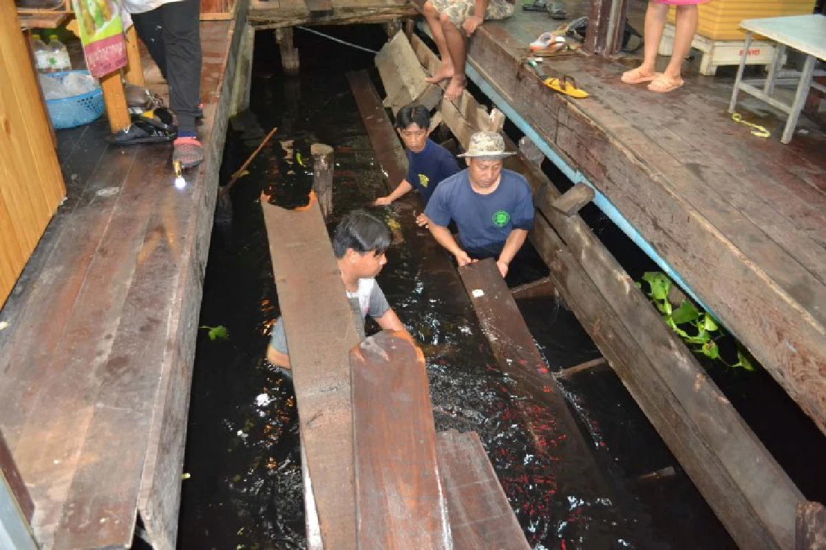 สะพานไม้ในตลาดโบราณบางพลีถล่ม นักท่องเที่ยวตกน้ำเจ็บ2