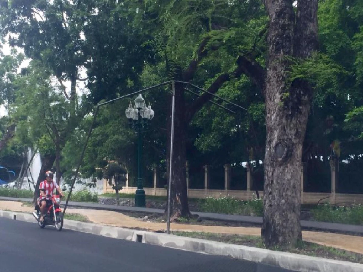 วิจารณ์ต้นไม้รอบสวนจิตรฯ ไม่เเข็งเเรงจนต้องใช้เหล็กค้ำ