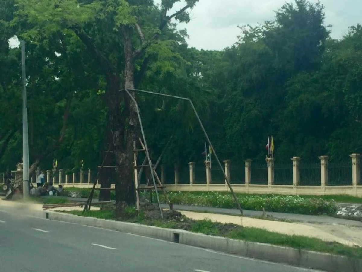 วิจารณ์ต้นไม้รอบสวนจิตรฯ ไม่เเข็งเเรงจนต้องใช้เหล็กค้ำ