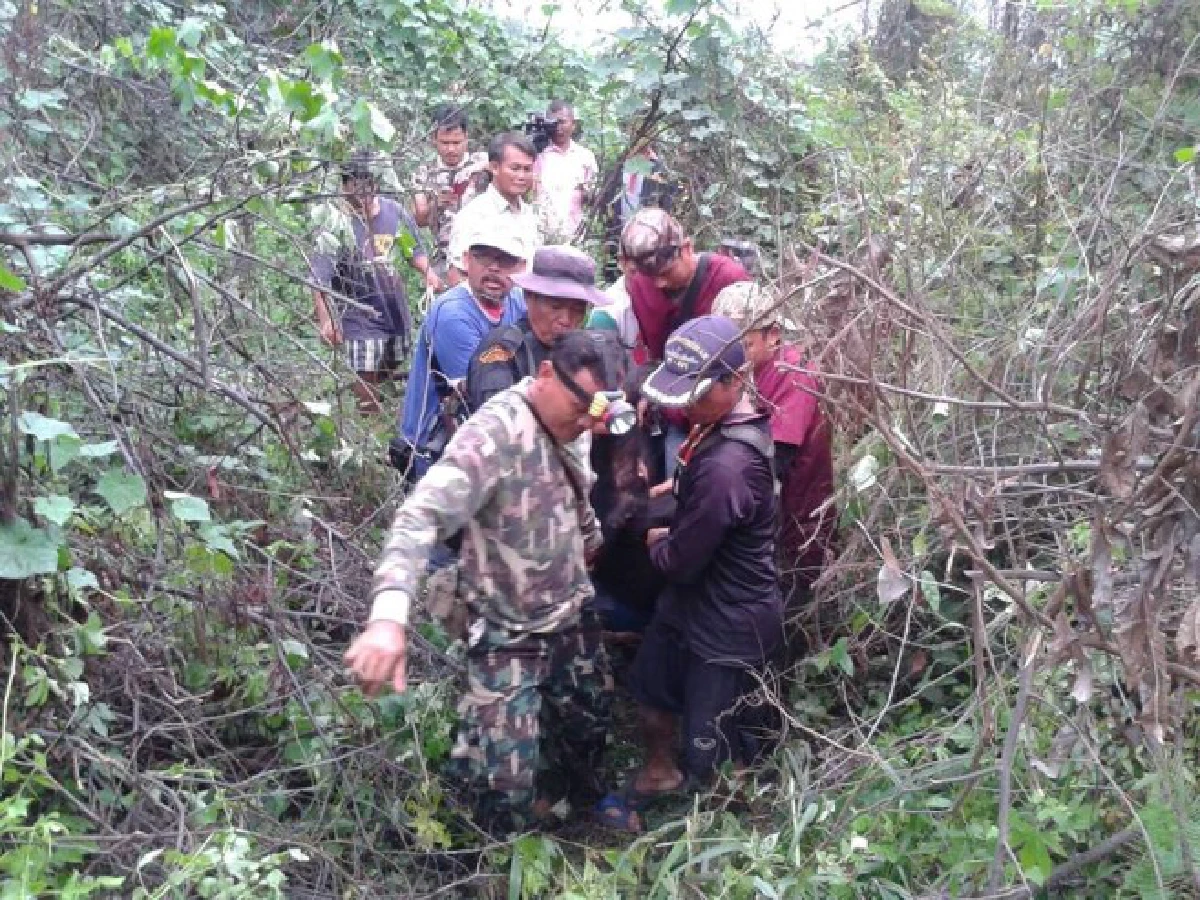 จนท.จับหมีควายหลุดจากเขตอุทยานปางสีดาก่อนปล่อยกลับคืนป่า