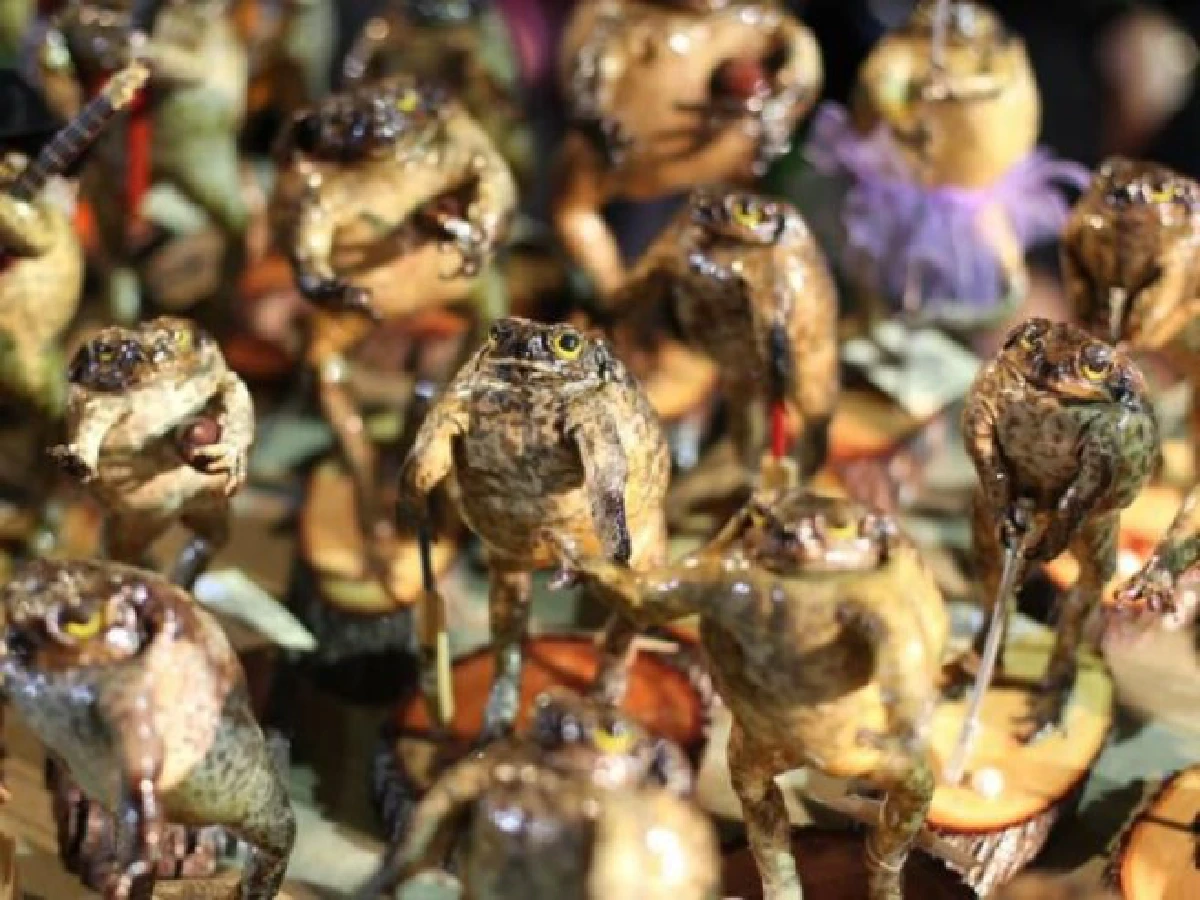 "Muber" ช็อปของฝากจากทั่วโลกโดยไม่ต้องเดินทาง