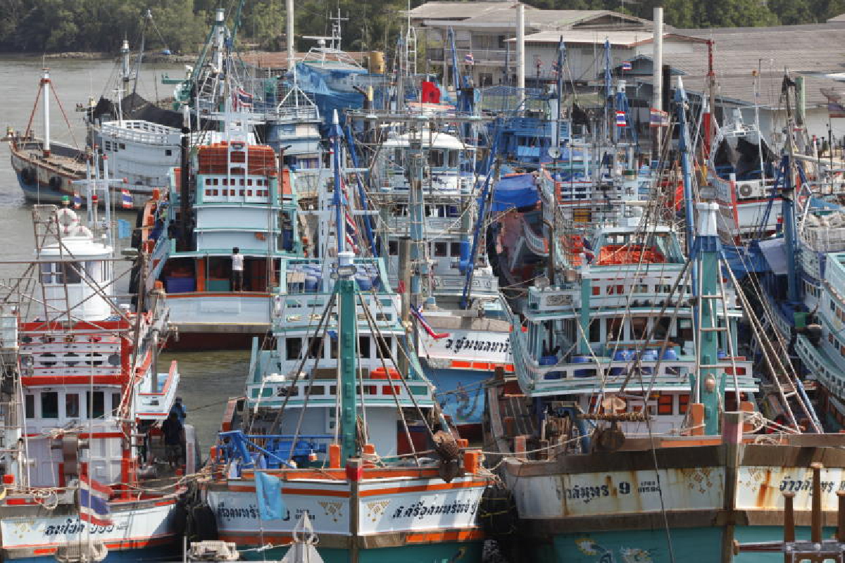 เกษตรสั่งลดจำนวนเรือประมงพาณิชย์ใน2ปี เกษตรสั่งลดจำนวนเรือประมงพาณิชย์ใน2ปี