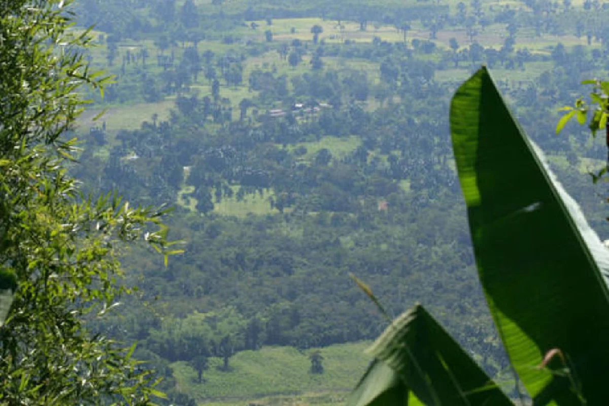 30 ปี 20 ล้านต้น ปลูกป่า ที่ไม่ใช่แค่ปักป้ายถ่ายรูป