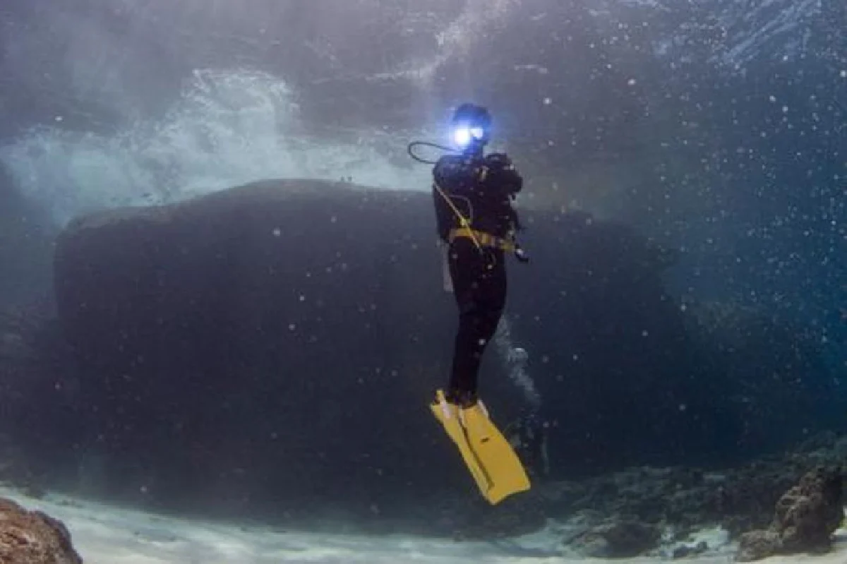 ละครการเดินทาง นราวิชญ์ จิตรบรรจง