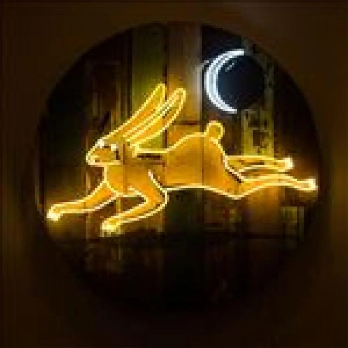 'สัตว์สโมสร' สุธี คุณาวิชยานนท์