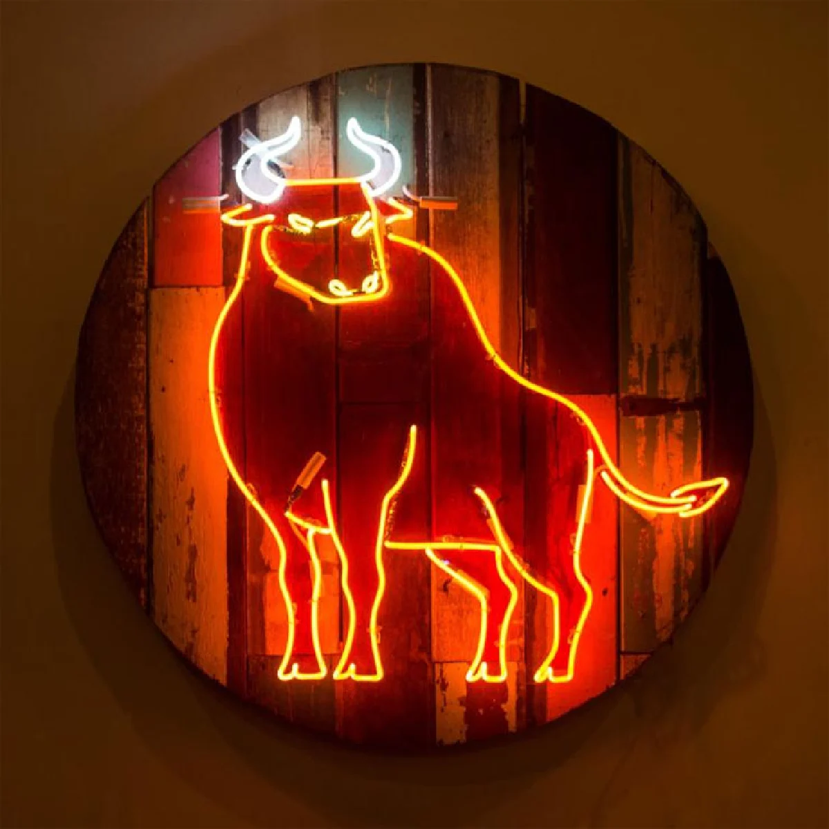 'สัตว์สโมสร' สุธี คุณาวิชยานนท์