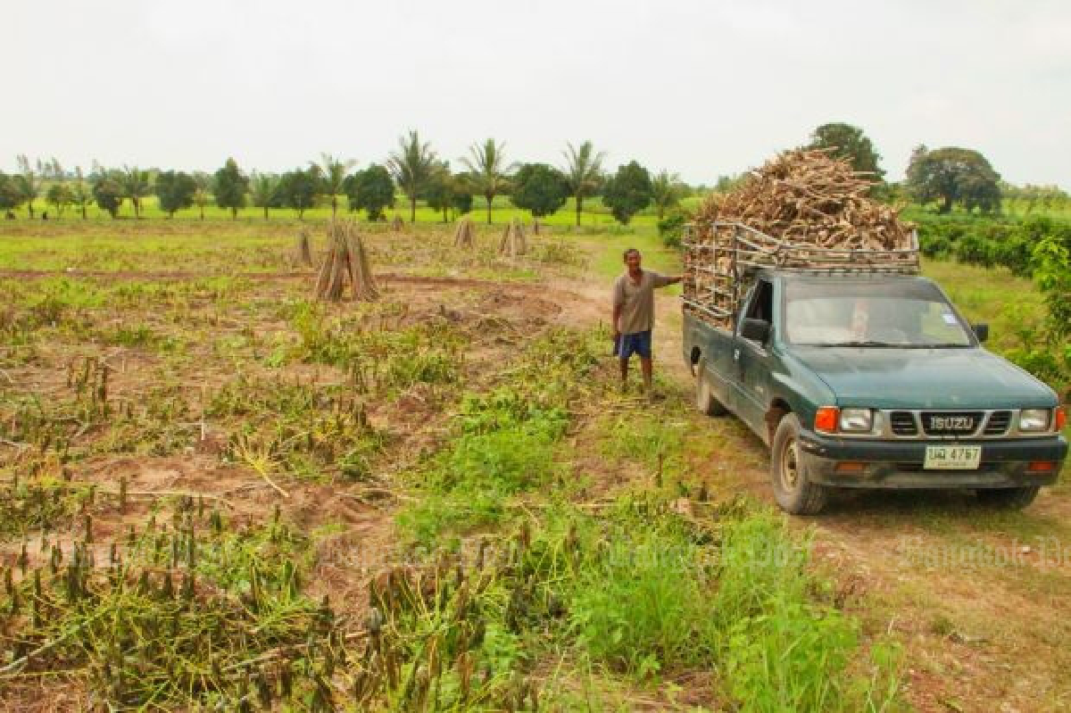 Farmers hurt by zero-tariff wheat for big business