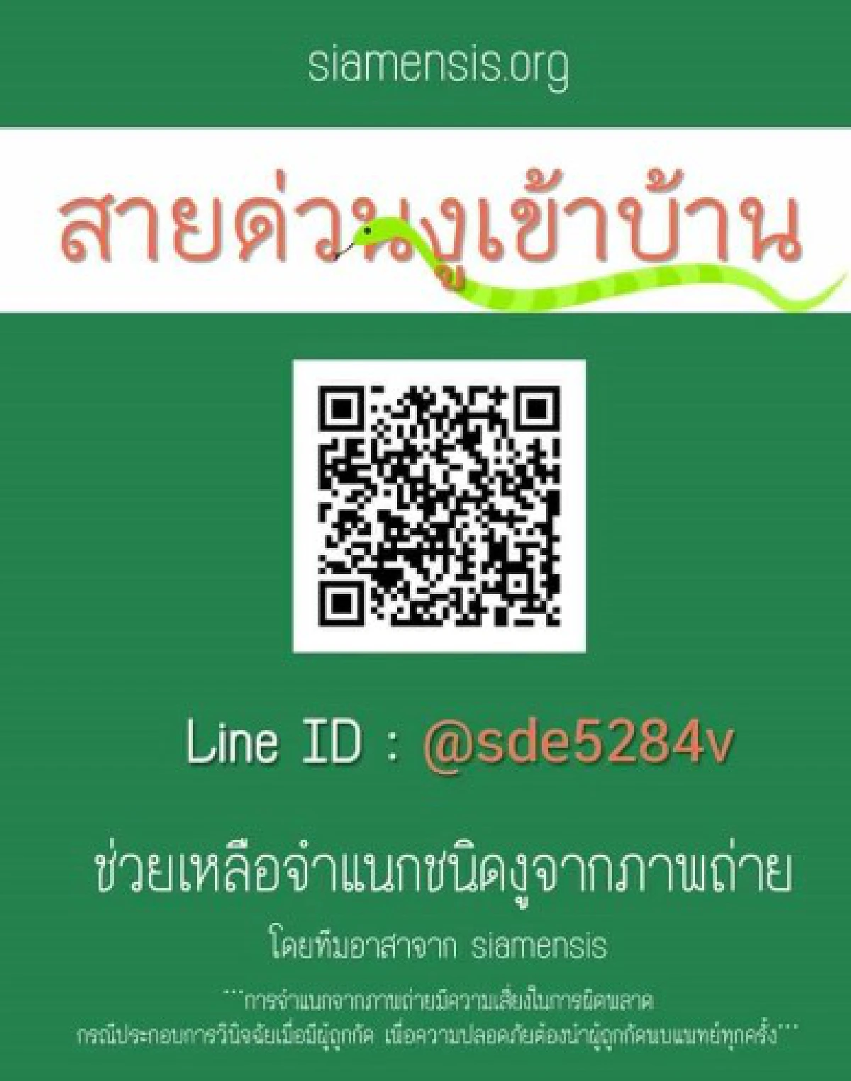 สายด่วนงูเข้าบ้านเผย5อันดับงูที่คนสอบถามมากสุด