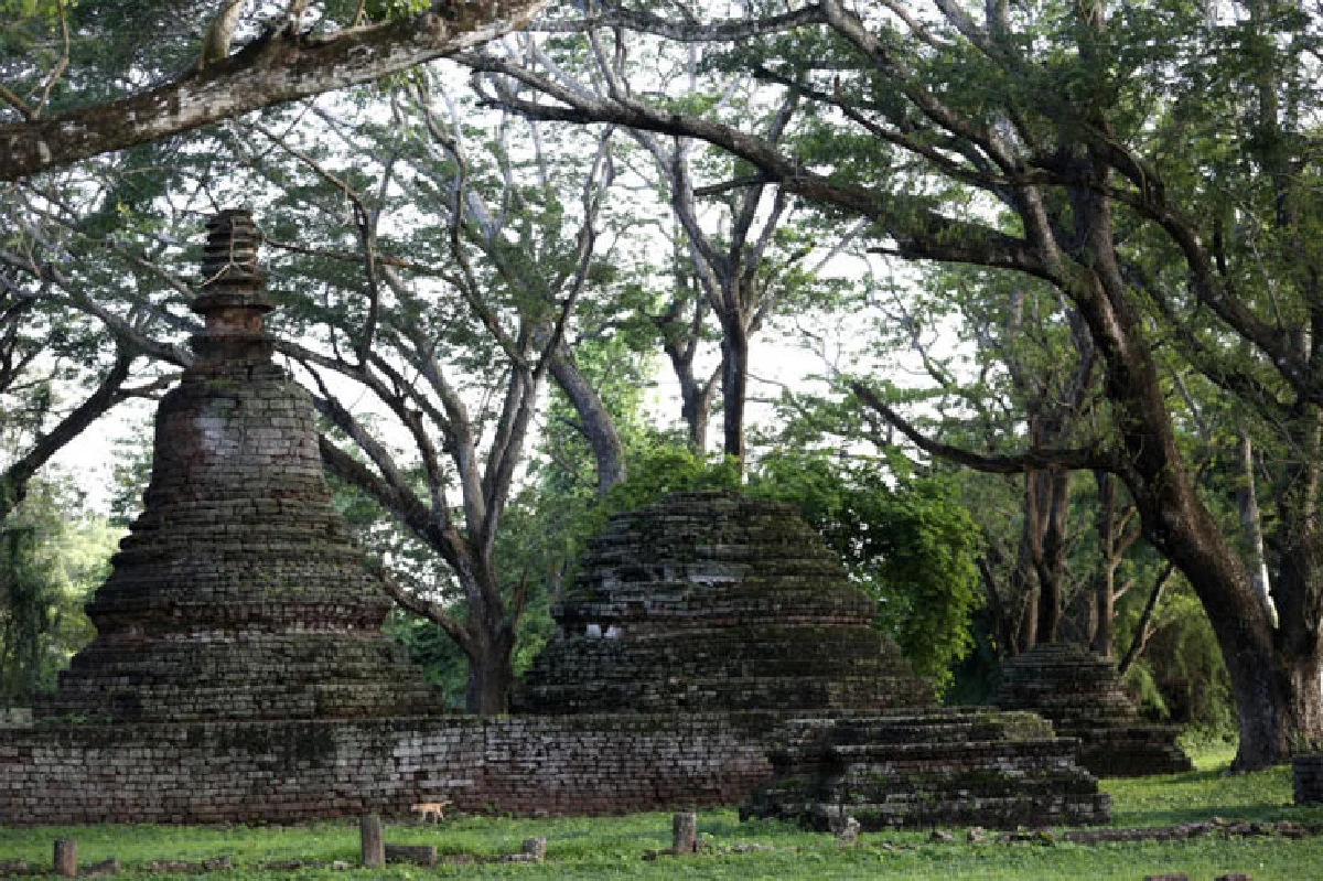 คัลเจอร์ แอนด์ คัลเลอร์ @ สุโขทัย-ศรีสัชนาลัย