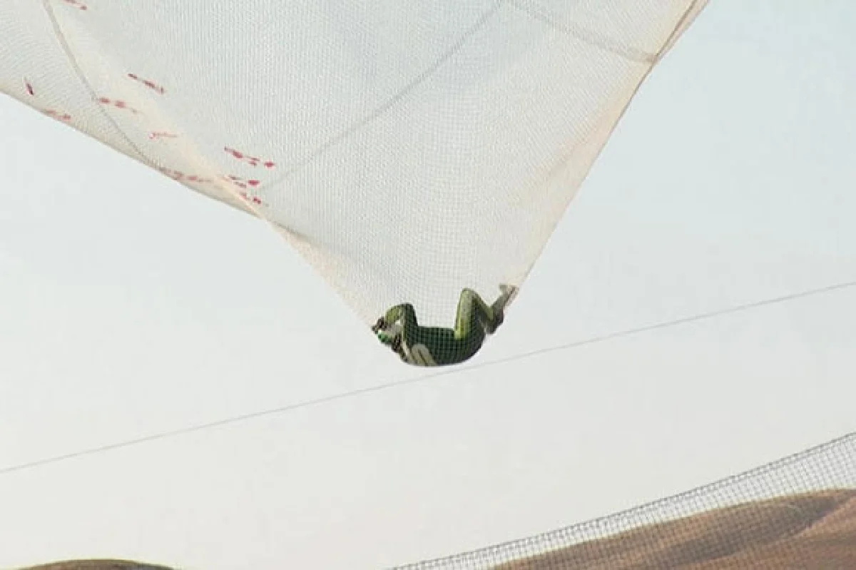 Skydiver first to jump and land without chute