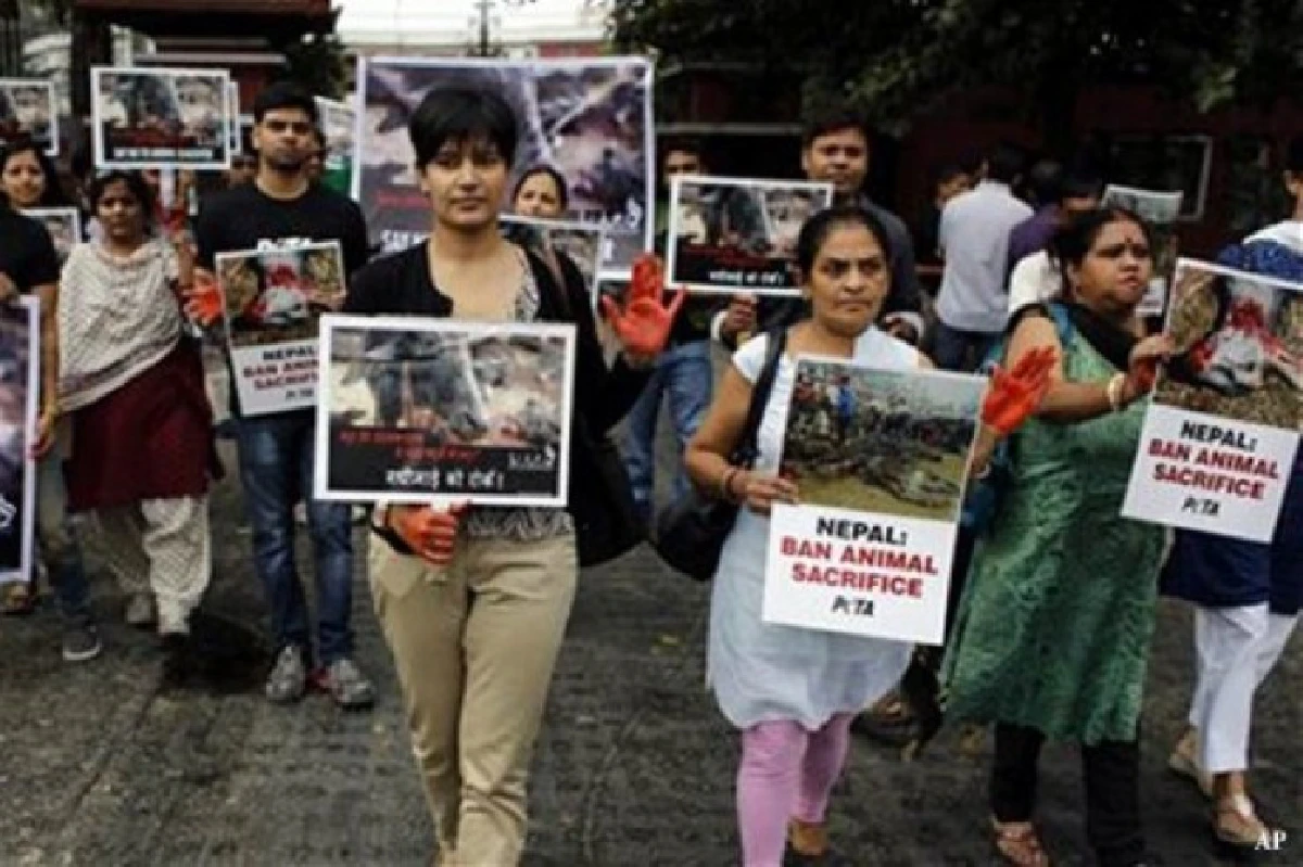 สัตว์นับพันตัวรอดชีวิตจากการบูชายัญแก่เจ้าแม่กาธิมัย