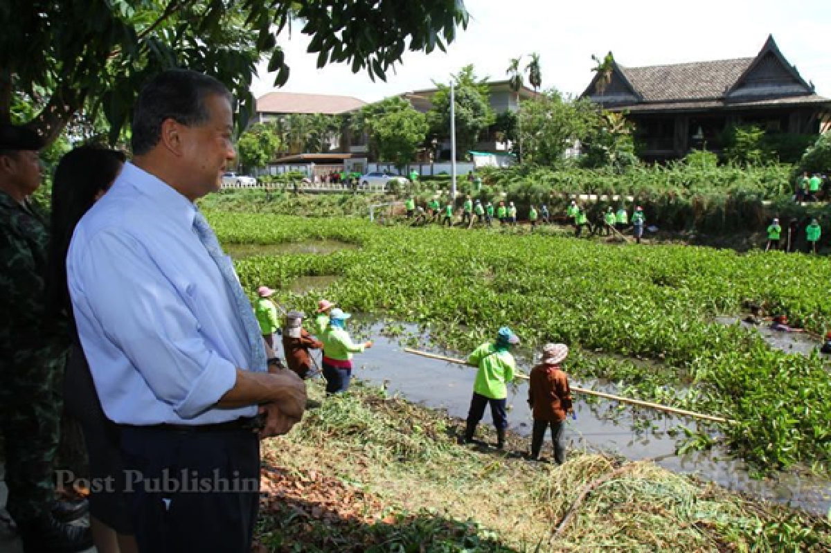 Water hyacinths to be cleared from Chao Phraya (Updated)