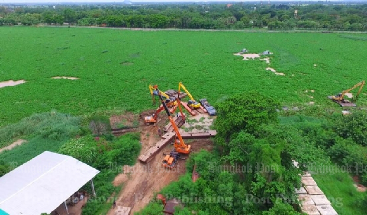 Water hyacinths to be cleared from Chao Phraya (Updated)