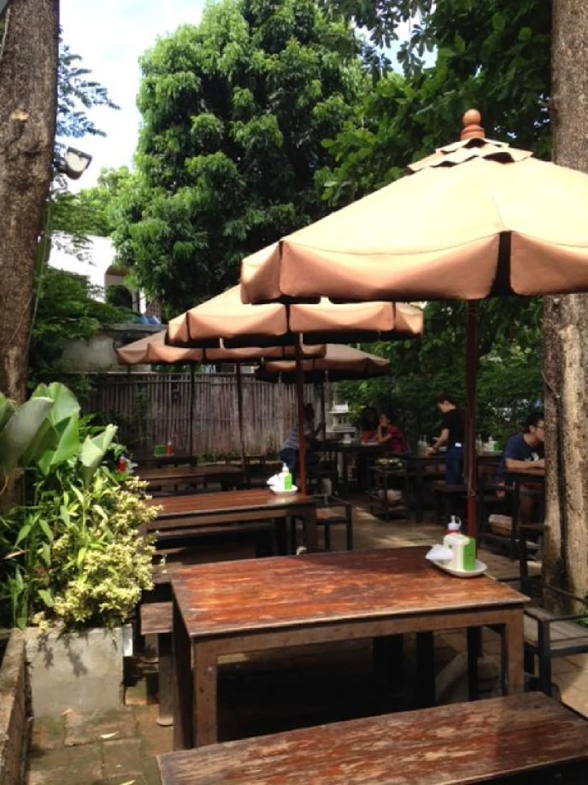 ต๋อง เต็ม โต๊ะ