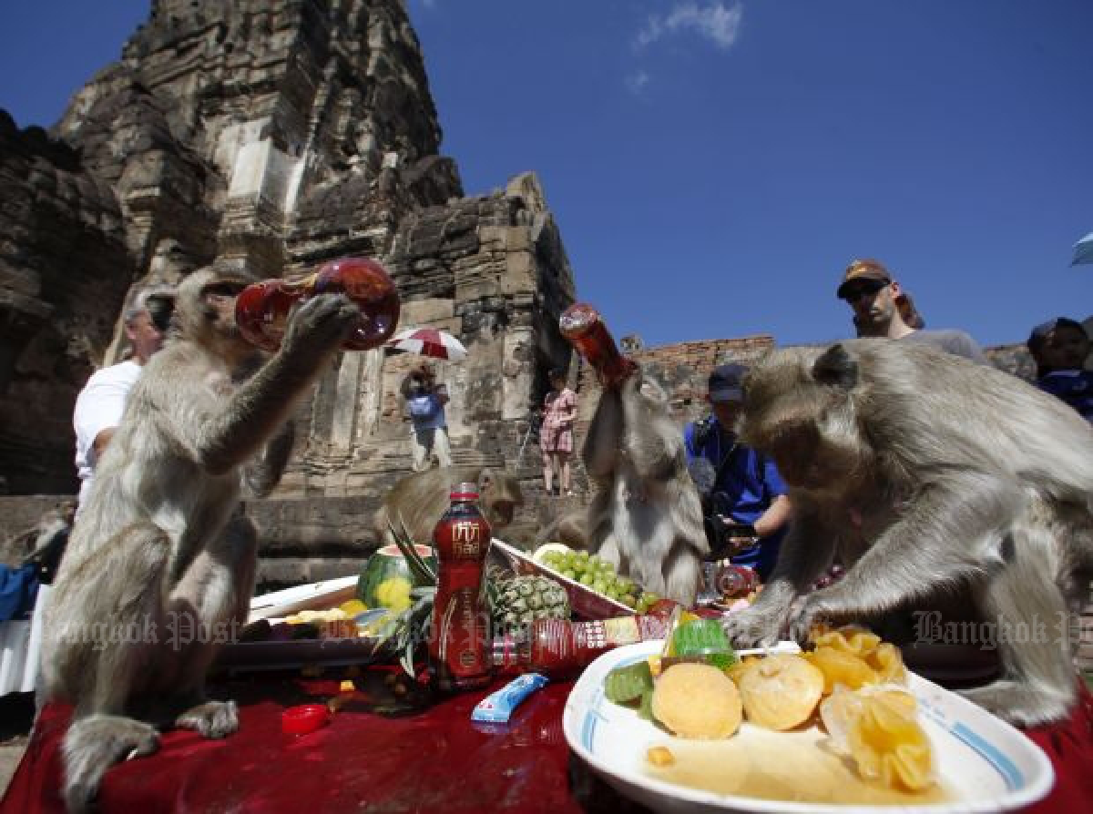 Monkey street art in Lopburi