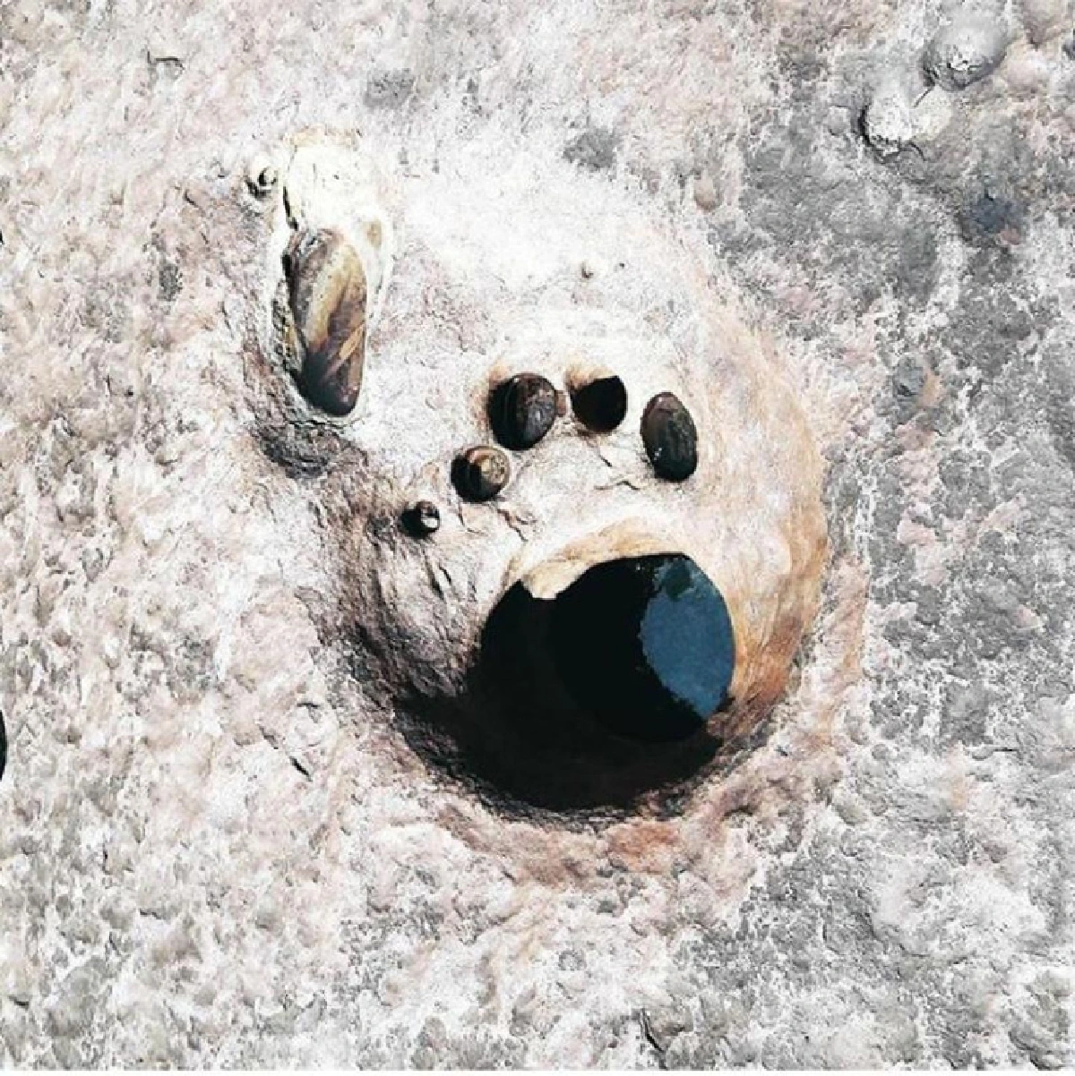 อุบลฯ มิสชั่น ตามล่า 6 ด่านสุดหิน