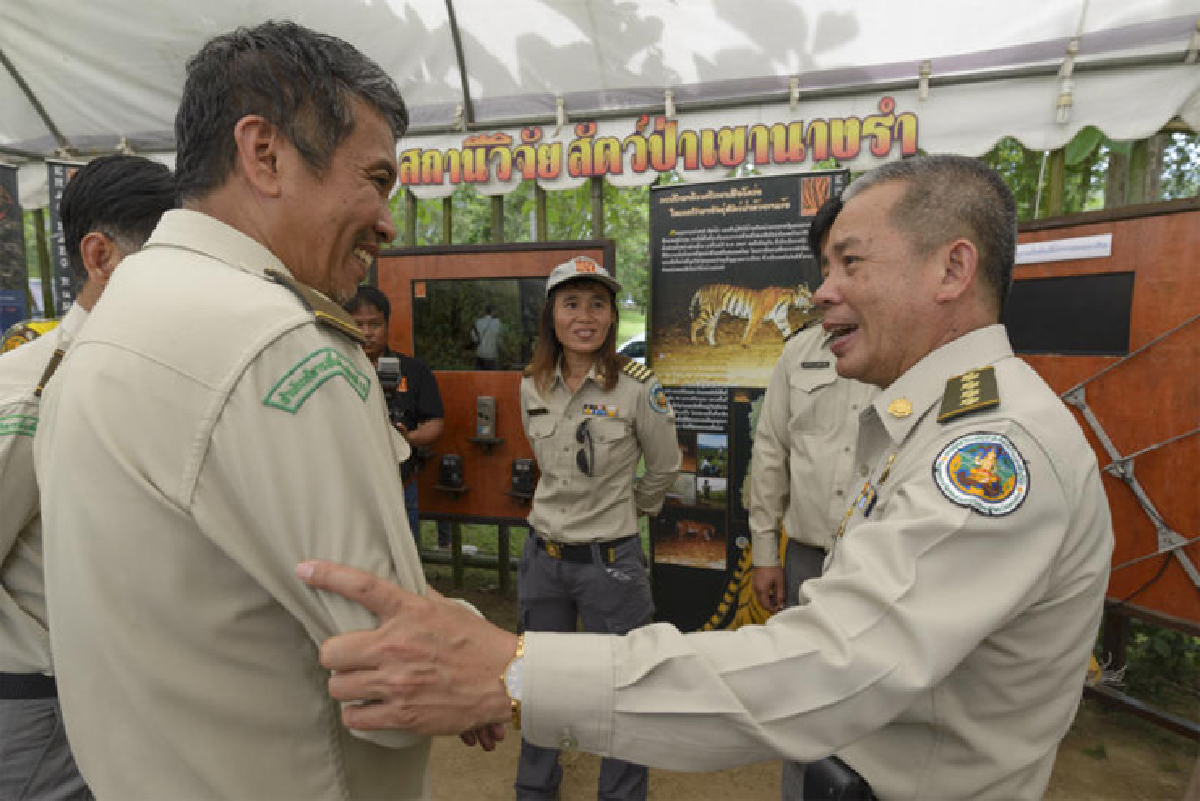 ยุทธศาสตร์เสือโคร่ง ยุทธศาสตร์เสือโคร่ง