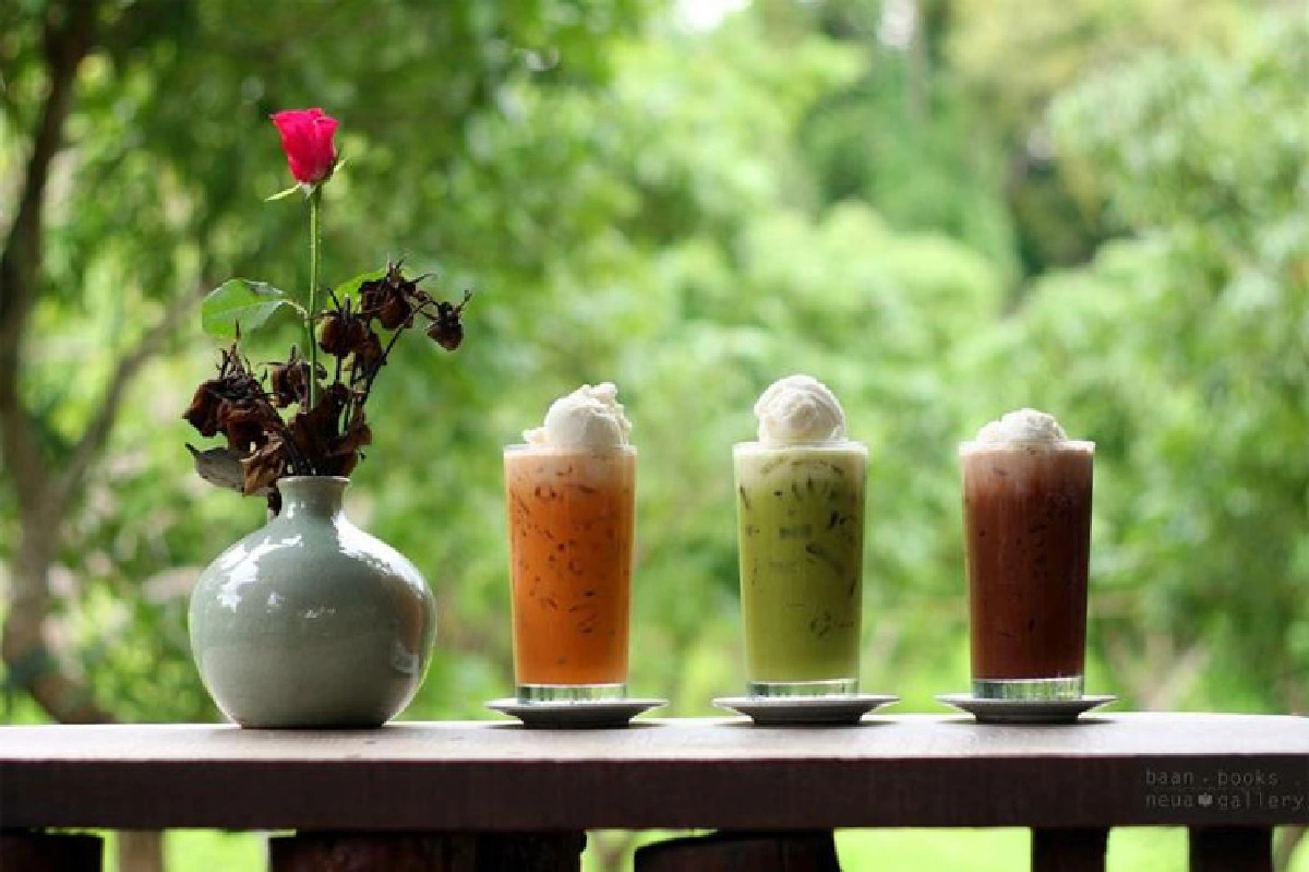 เอนกายผ่อนใจที่ บ้านเหนือ : หนังสือและภาพถ่าย