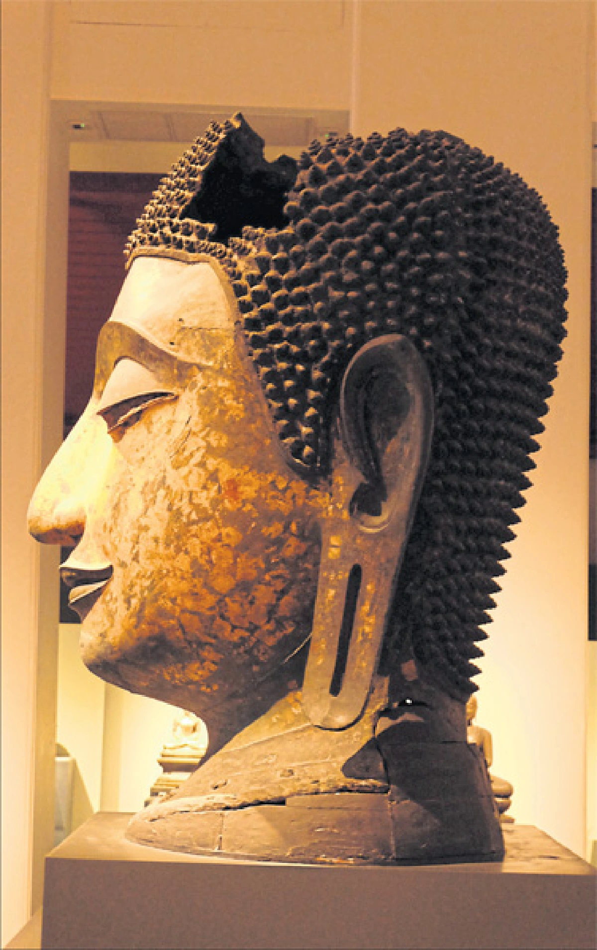 ทางเลือกใหม่ของพิพิธภัณฑ์ และมรดกวัฒนธรรมแห่งชาติ