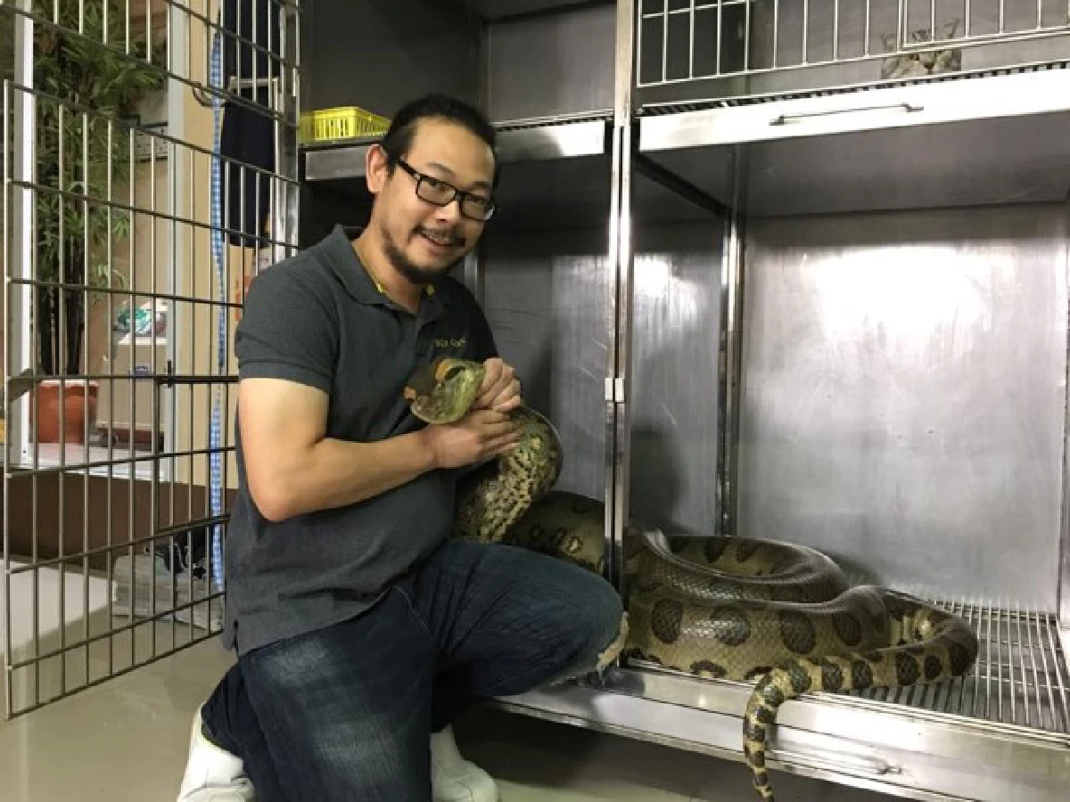 สุดเจ๋ง!ทีมสัตวแพทย์ไทยผ่าตัดช่วยชีวิตงูอนาคอนดายักษ์