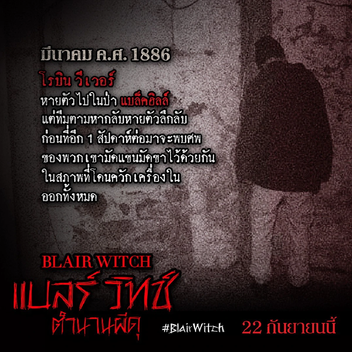 เปิดตำนานแม่มดแบลร์แห่งป่าอาถรรพ์ เรื่องเล่าสยอง หรือ ของจริง?