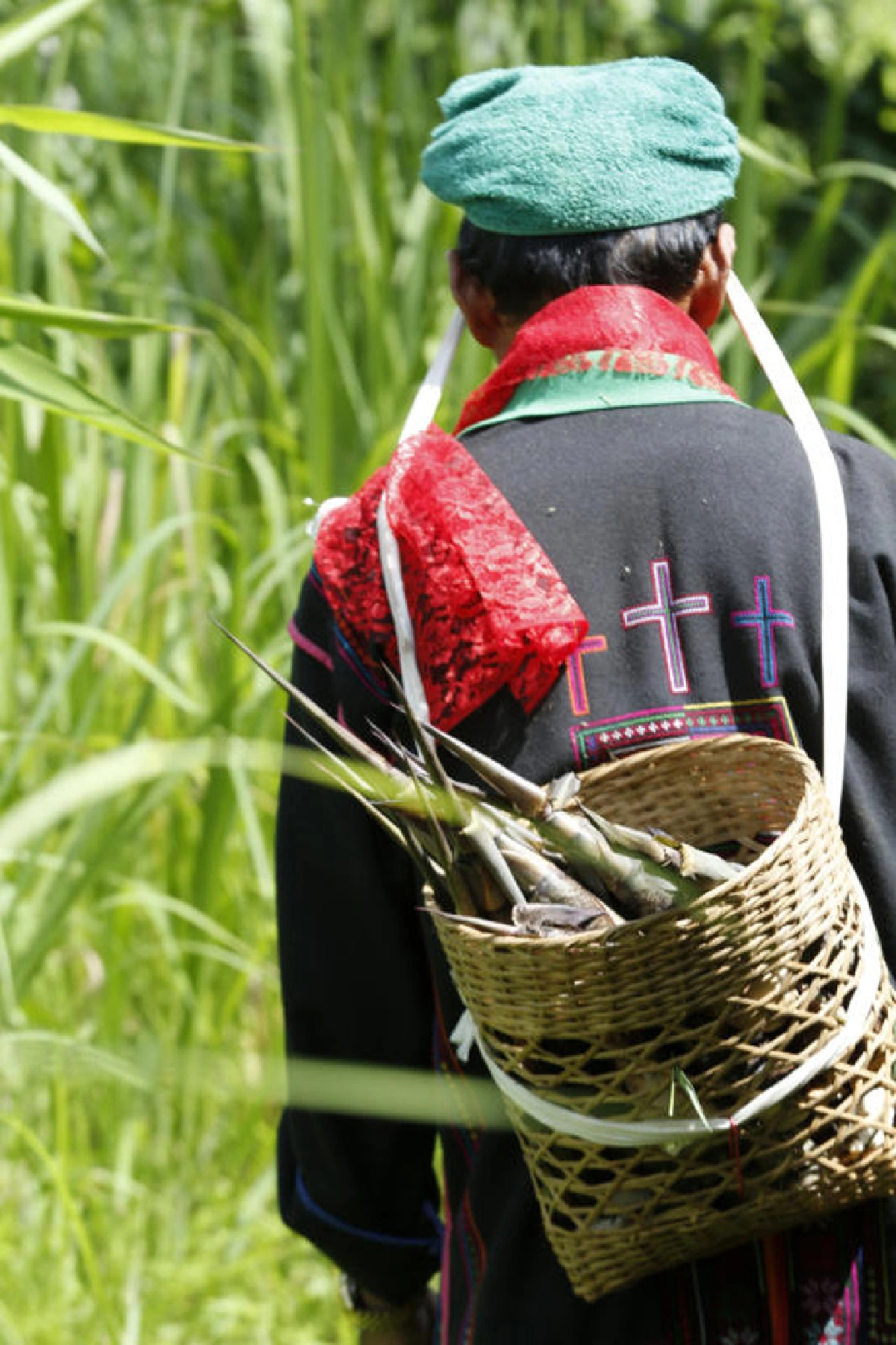 อาข่าพาทัวร์ บ้านหล่อโย เมืองลับในป่าใหญ่