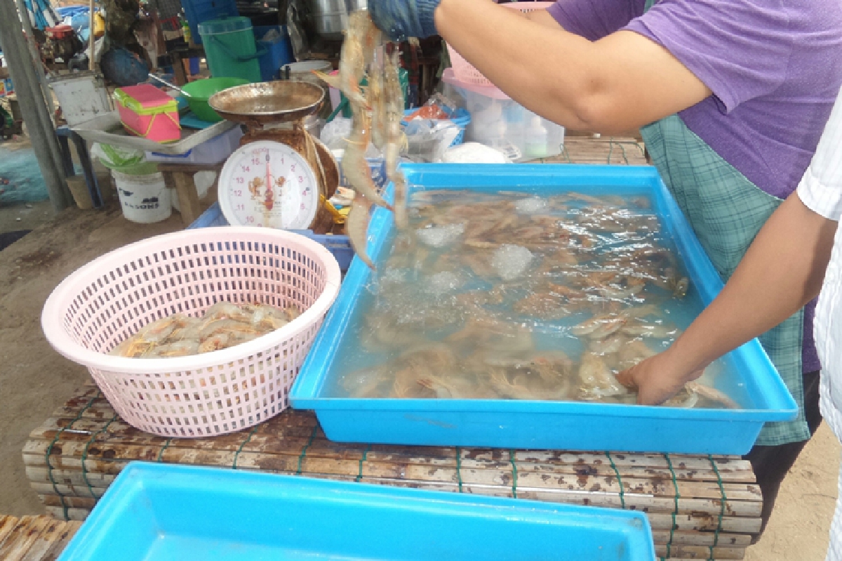 ไประยองแวะซื้ออาหารทะเลสดที่ตลาดสวนสน ไประยองแวะซื้ออาหารทะเลสดที่ตลาดสวนสน