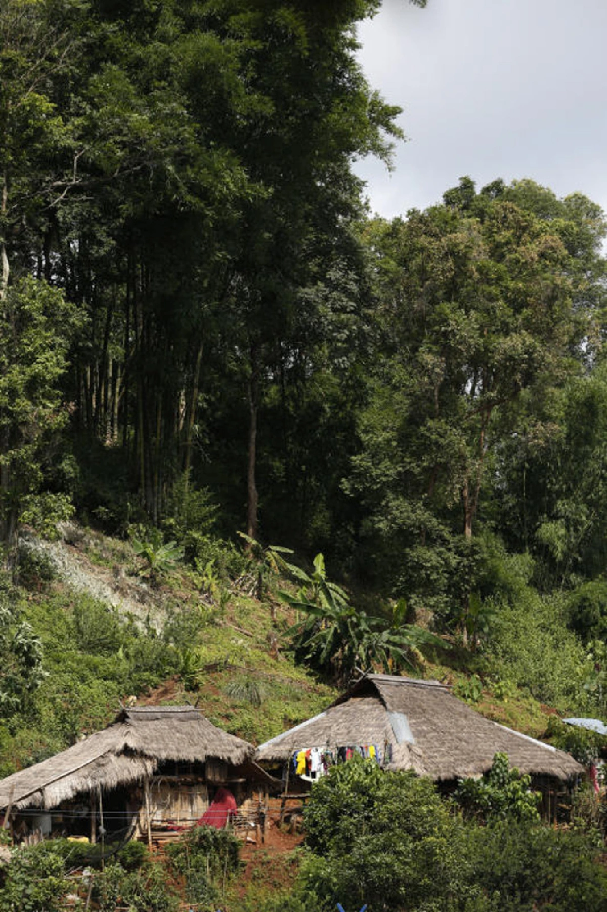 อาข่าพาทัวร์ บ้านหล่อโย เมืองลับในป่าใหญ่