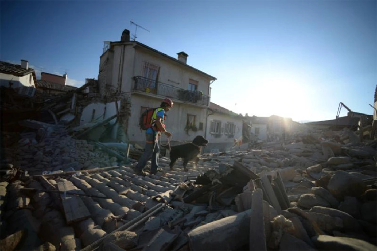 พสุธาสะเทือน