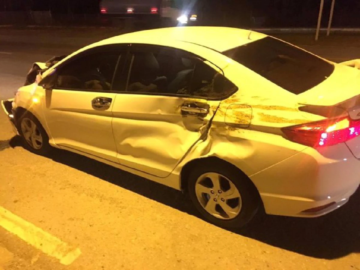 อุทาหรณ์!ขับรถทางชนบทกลางคืนระวังชนวัวชาวบ้าน