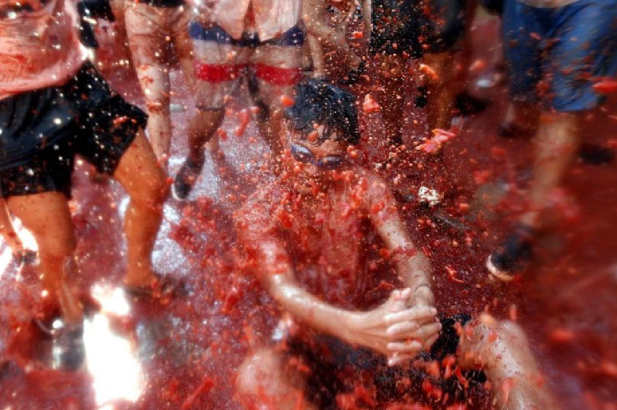 ชมภาพบรรยากาศเทศกาลปามะเขือเทศในสเปน