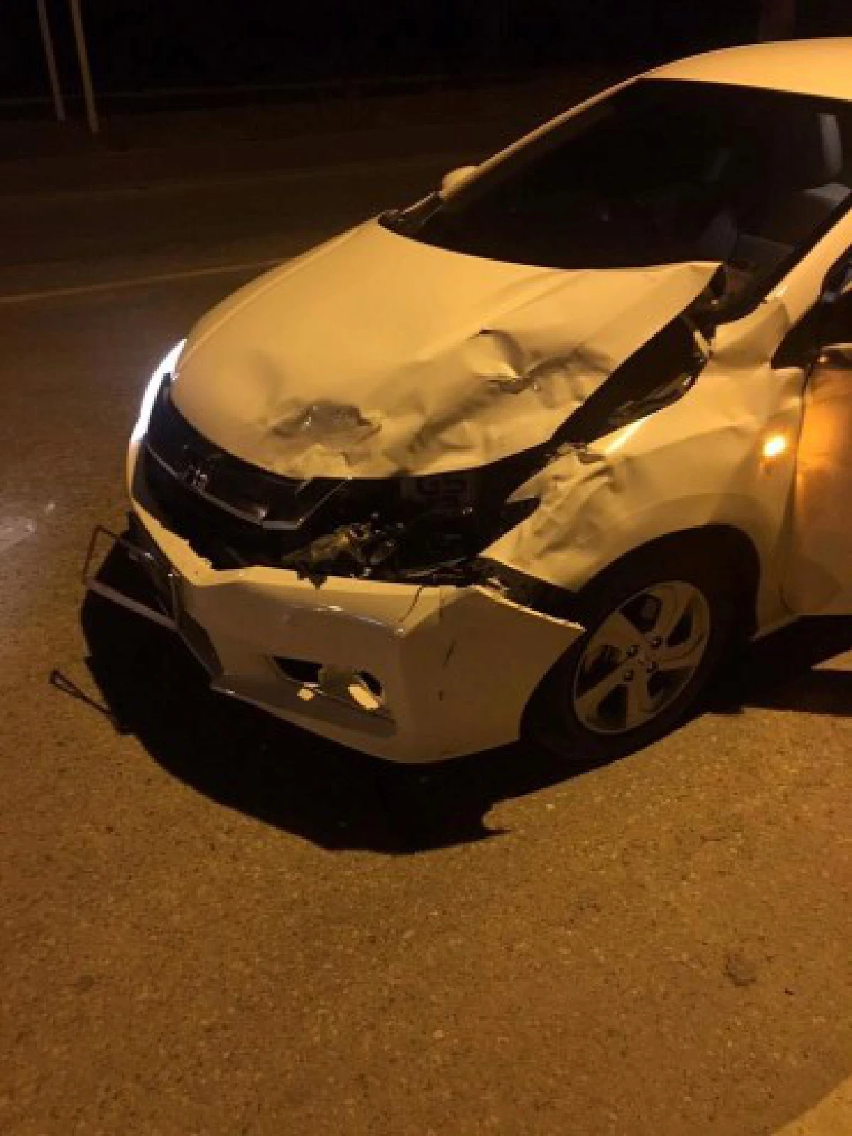 อุทาหรณ์!ขับรถทางชนบทกลางคืนระวังชนวัวชาวบ้าน