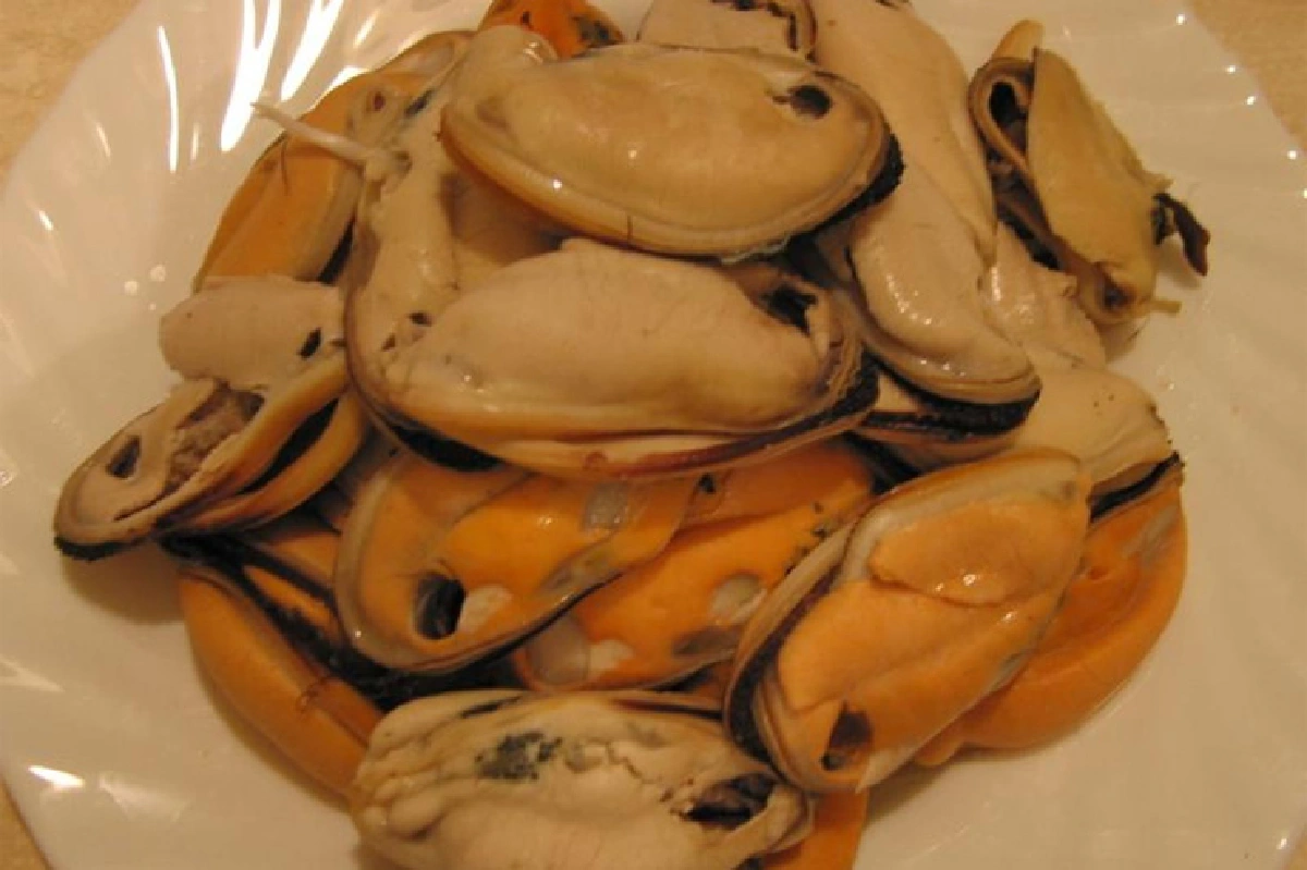 เส้นทางสายหอย