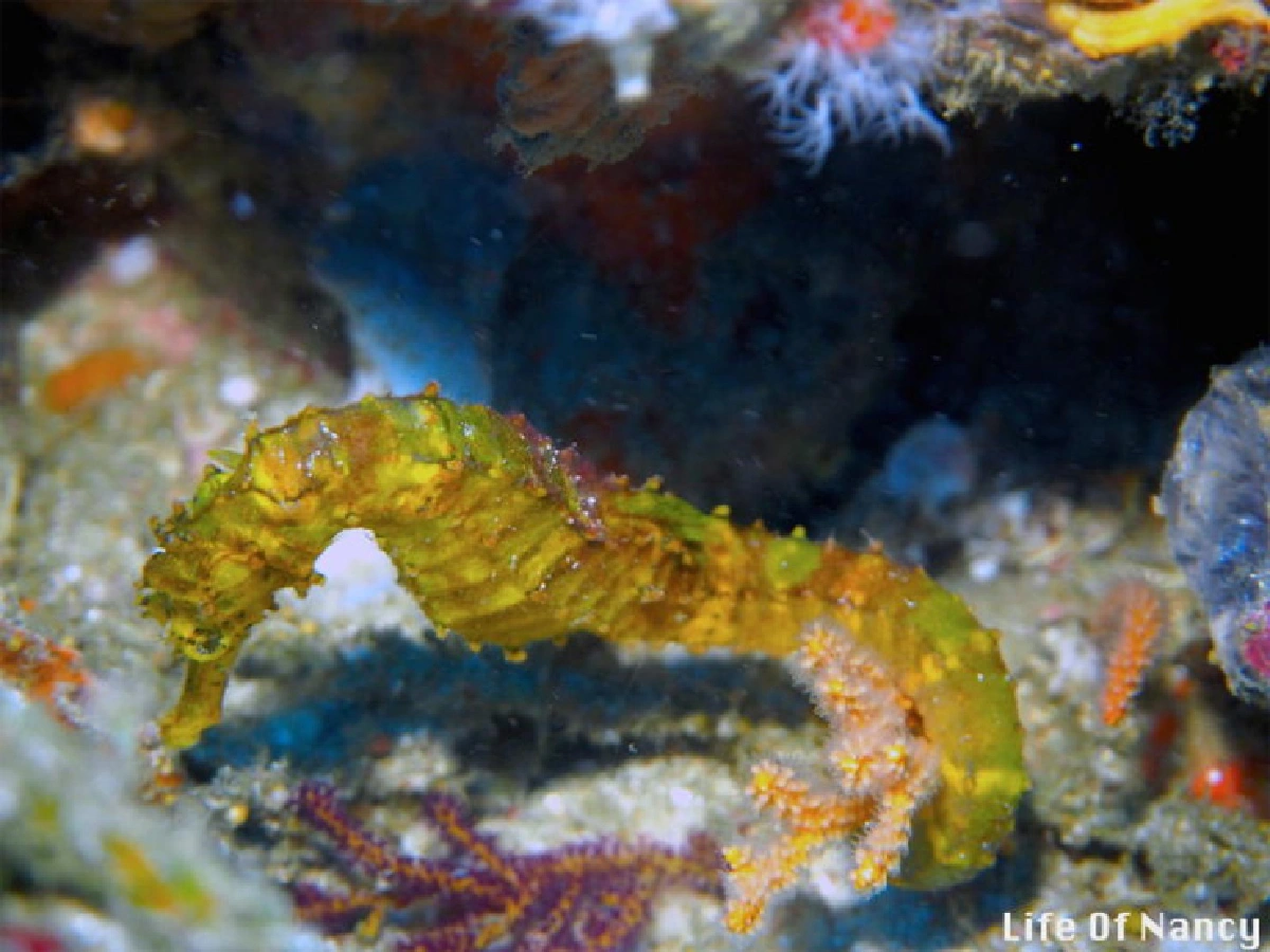 นัยน์ภัค ภูมิภักดิ์ ผจญภัยแสนสุขตามสไตล์สาวเอ็กซ์ตรีม