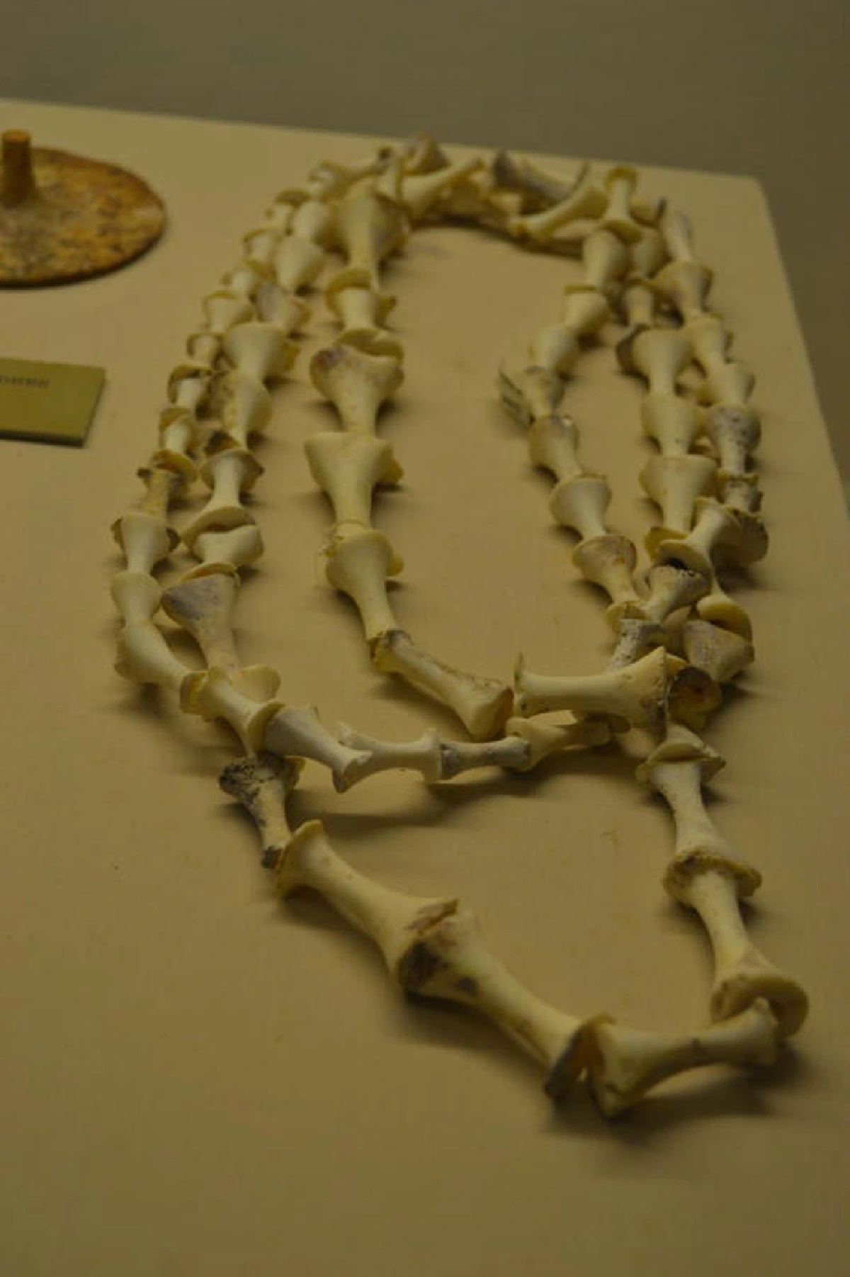 อารยธรรมหมื่นปี ศรีมโหสถ