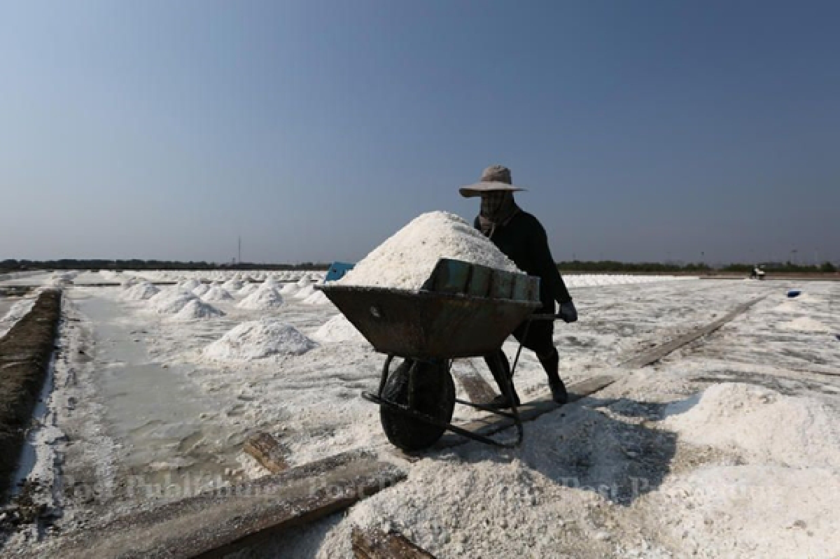 From salt to solar