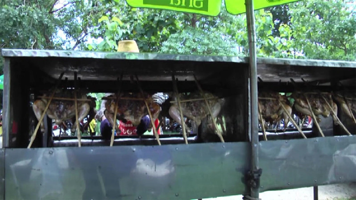 ไก่ย่างสมุนไพรกาบเชิง อร่อยโดนใจคนรักสุขภาพ