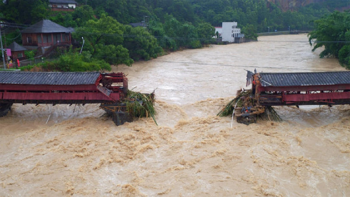 ฝนมากน้ำท่วมอ่วมเกษตร