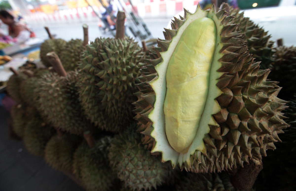 คนไทยกินทุเรียนแพง แต่คนทั้งโลกกินข้าวไทยถูก (1) คนไทยกินทุเรียนแพง แต่คนทั้งโลกกินข้าวไทยถูก (1)