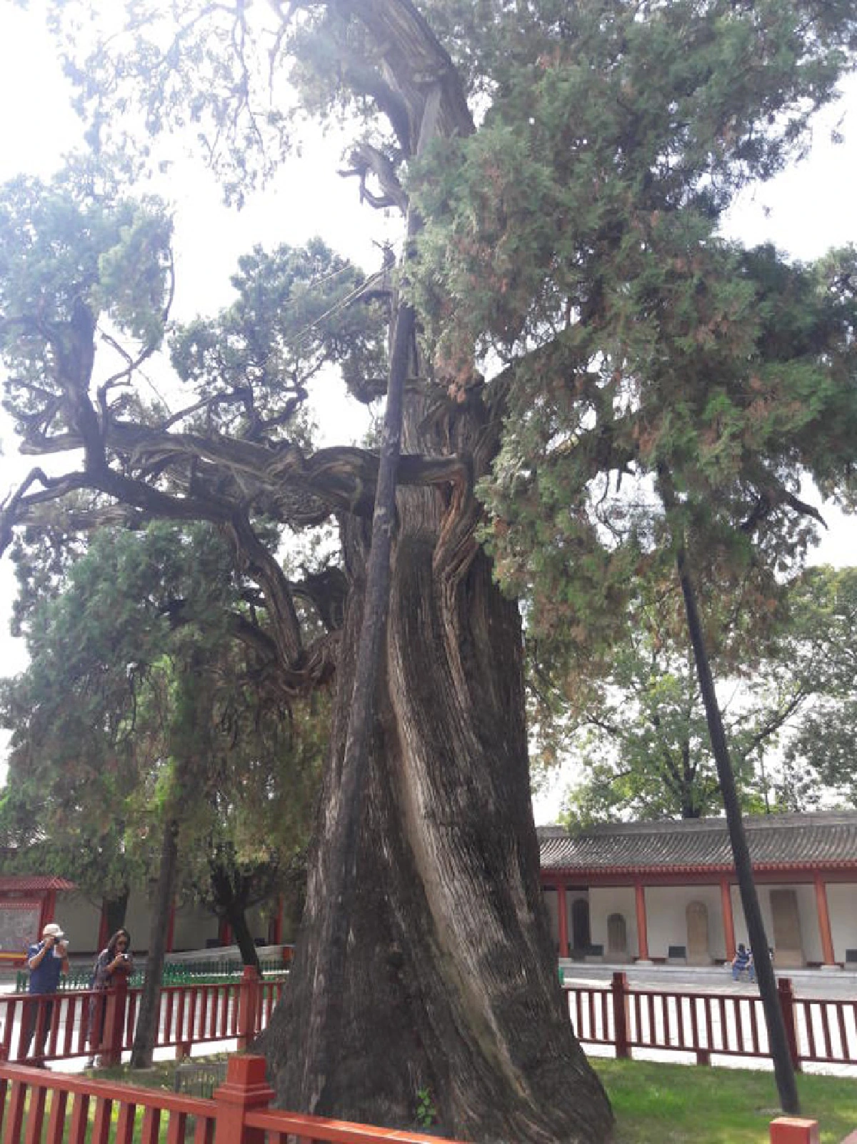 ‘คนไทยมาจากไหน’ ตะลุยแหล่งโบราณคดี ‘ต้าตี้วาน’