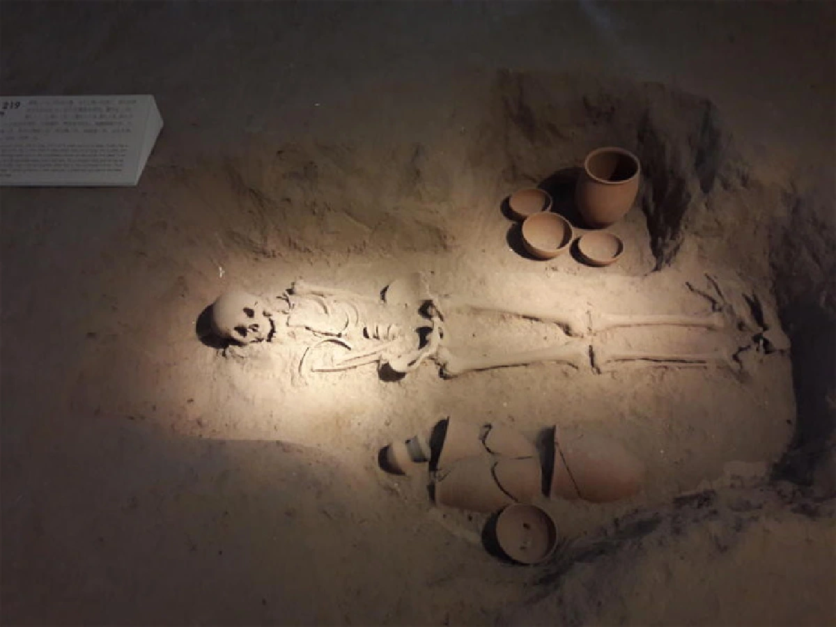 ‘คนไทยมาจากไหน’ ตะลุยแหล่งโบราณคดี ‘ต้าตี้วาน’