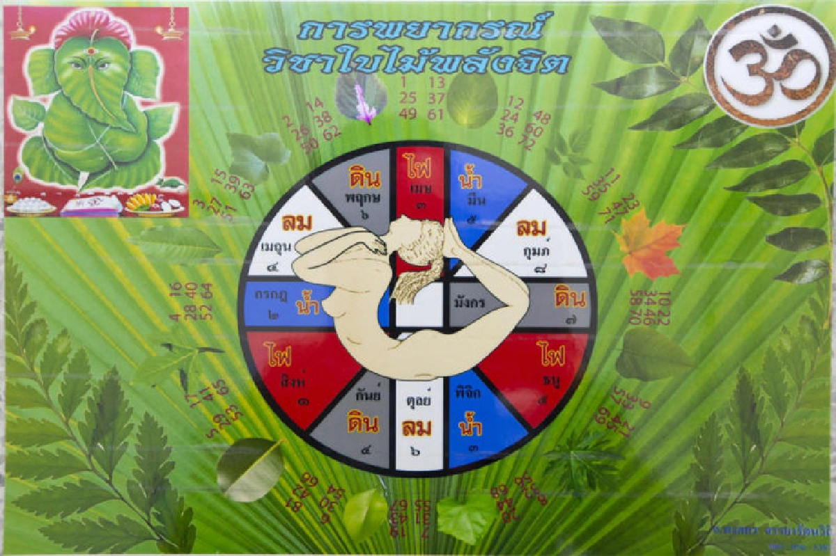 ดูดวง... ยิ่งแปลกยิ่งต้องลอง (ดู)