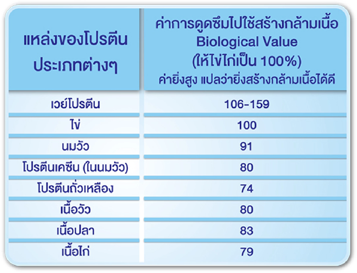 วงการแพทย์ตื่นตัว หลังพบว่าผู้สูงอายุ 60+ ต้องใส่ใจอาการกล้ามเนื้อลีบ และอ่อนแรงอย่างใกล้ชิด