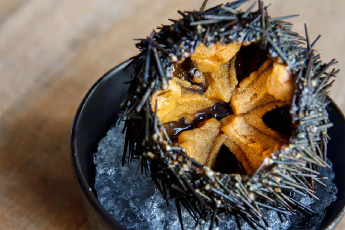 ชินเซนฟิชมาร์เก็ต สวรรค์ของคนรักอาหารทะเล