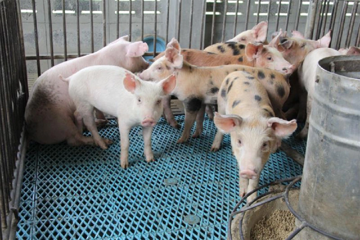 เปลี่ยนเรื่อง ‘เครียด’ ให้เป็นเรื่อง ‘เที่ยว’